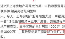 網紅大瓜小說免費閱讀,免費閱讀背后的秘密與誘惑