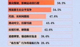 體育圈飯圈化,粉絲經濟下的新現象解析