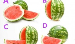 52每日大瓜視頻,揭秘娛樂圈幕后故事，帶你領略明星真實生活