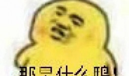 吃瓜的表情包,揭秘網絡時代的“圍觀”文化