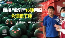 今日吃瓜完整版免費(fèi),完整版免費(fèi)放送，熱點(diǎn)追蹤不容錯(cuò)過