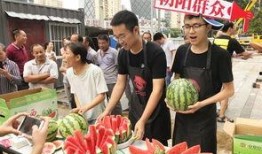 51朝陽吃瓜群眾,揭秘吃瓜群眾的幕后故事