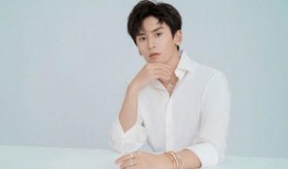 =明星明星公開道歉,真誠反思與公眾形象的重建