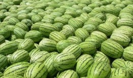 今日吃瓜熱門大瓜每日更新