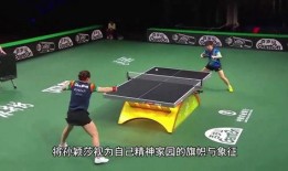 體育圈粉絲,激情燃燒的歲月，熱血沸騰的追隨